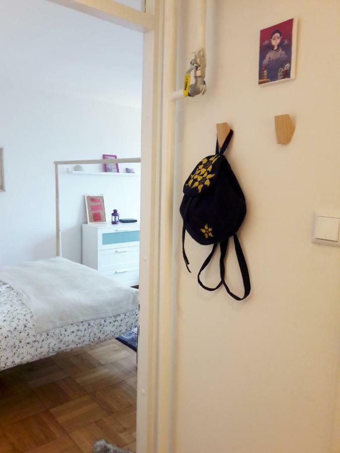 Brand New Cosy Apartment Zagabria Esterno foto